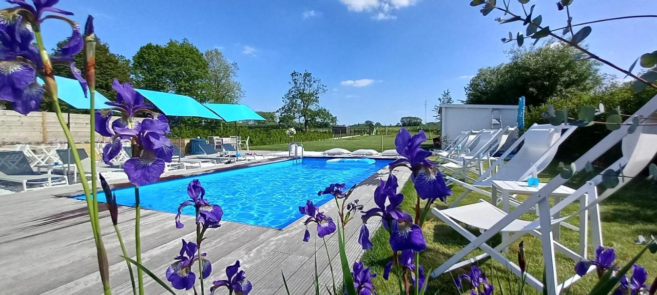 Blue Garden * Geraardsbergen